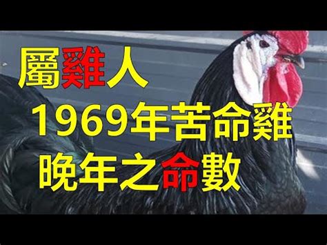 1969生肖配對|【69年次生肖屬什麼】民國69年出生的生肖屬什麼？。